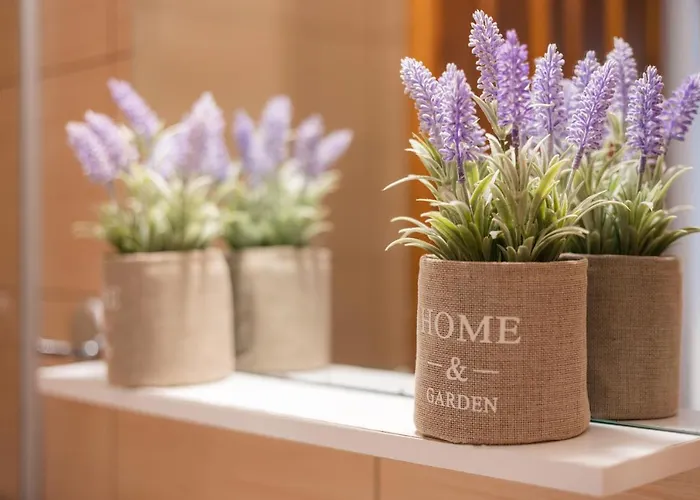 Kantirimi House - A1 Appartement